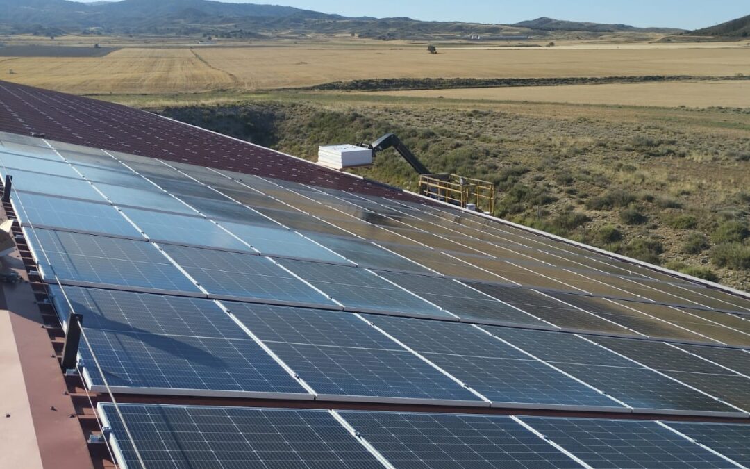 IMAR apuesta por la sostenibilidad con la instalación de una planta fotovoltaica en Perdiguera (Zaragoza)