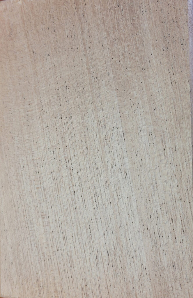 Acajou – Elegancia natural con sello africano