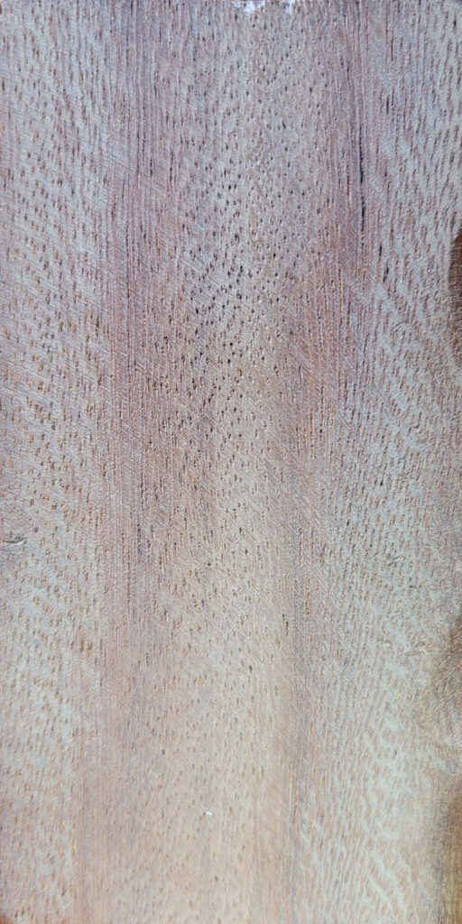 Madera Talí / Elondo– Máxima Dureza en ambientes exigentes